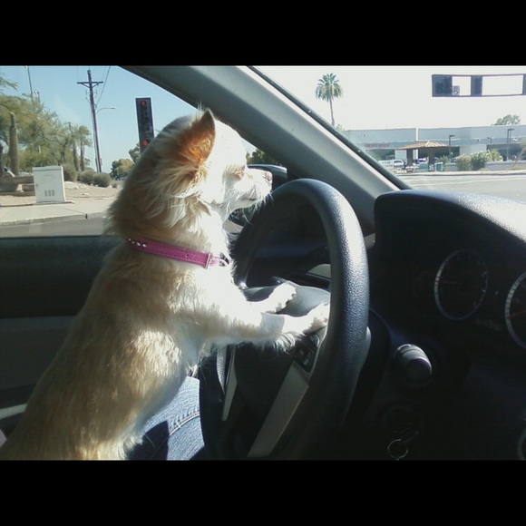 Meet your Posher, Lisa - Picture 6 of 7